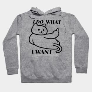 I do what i want funny shirt Hoodie